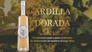 ardilla-dorada-jr-elaboracion