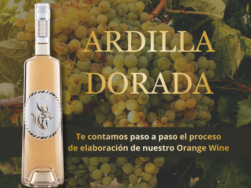 ardilla-dorada-jr-elaboracion
